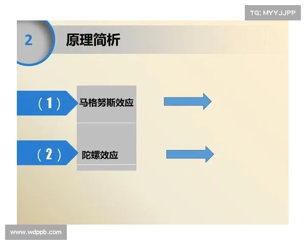 “马格努斯行动”拆解红线,Meta信息窃取者 媒体 “马格努斯行动”拆解红线,Meta信息窃取者 媒体
