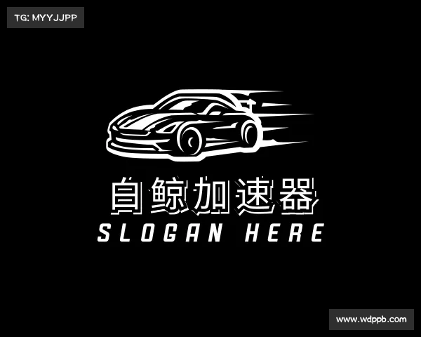 认识白鲸加速器